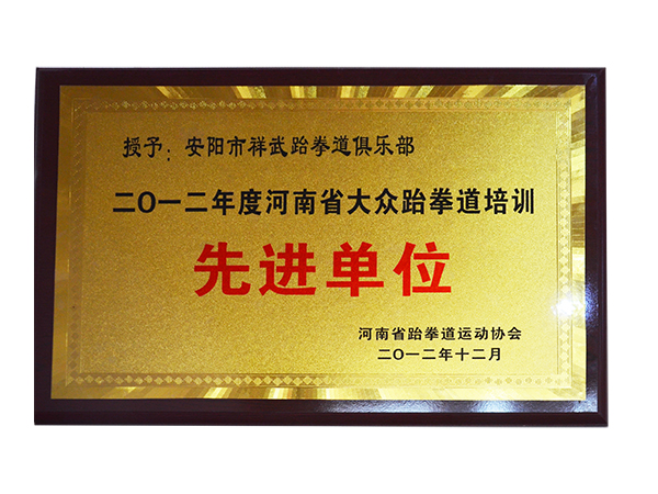 2012年度河南省大众跆拳道培训先进单位